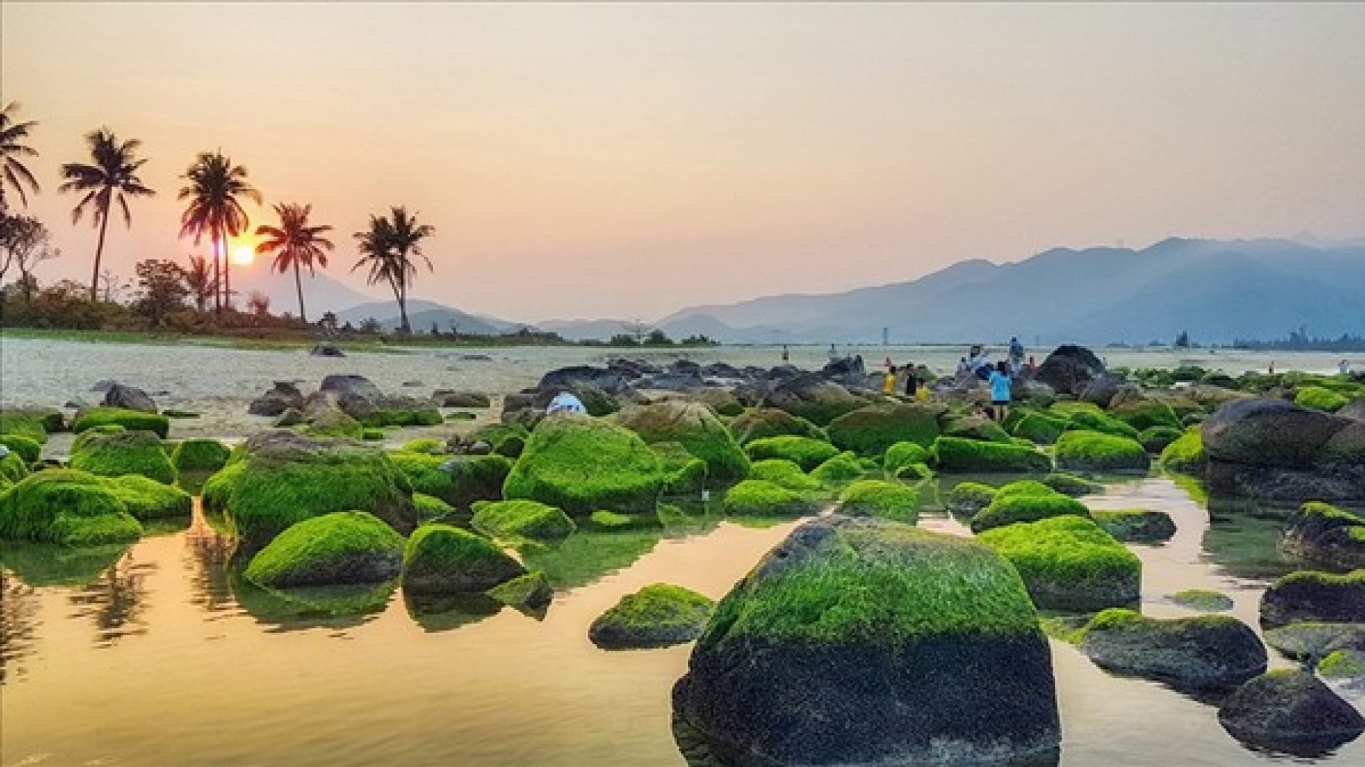 Bãi biển Nam Ô